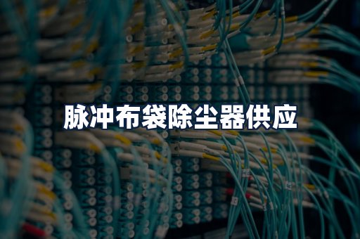 脉冲布袋除尘器供应